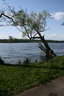 gal/pyrkomania - 1-4.05.08/_thb_small-IMG_2905.JPG